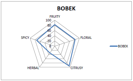 Bobek Flavor Pentagram