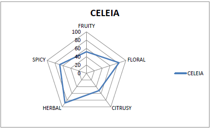 Celeia Flavor Pentagram